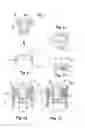 Fig. 04 - Device for damping or decelerating movable parts or pieces of furniture