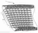 Fig. 01 - Link for the connection of rods of a conveyor belt spirally wound around a driven drum, conveyor belt and conveying system with such connective links