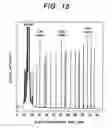 Fig. 16 - Multi-capillary array electrophoresis device