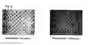 Fig. 08 - Electroplating in presence of co2