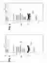 Fig. 02 - Carded mascara products and merchandising method and display