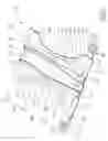 Fig. 02 - Arrangement for the removal of an absorbent article from a stack of absorbent articles
