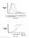 Fig. 56 - System for the treating biomaterial waste streams