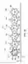 Fig. 08 - Holder and transporter for fluid collecting tubes