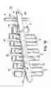 Fig. 13 - Holder and transporter for fluid collecting tubes