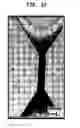 Fig. 09 - Methods for forming improved self-assembled patterns of block copolymers