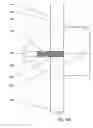 Fig. 40 - Beverage dispensing system pressurized release liquid USPA2