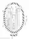 Fig. 45 - Surgical instrument having a removable battery