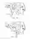 Fig. 40 - Surgical instrument having recording capabilities