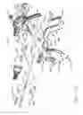 Fig. 43 - Surgical instrument having recording capabilities
