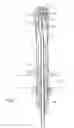 Fig. 04 - SPRAY DEVICE