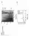 Fig. 19 - Method and apparatus for enhanced ion mobility based sample analysis using various analyzer configurations