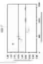 Fig. 08 - Plasma doping method and plasma doping apparatus