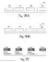 Fig. 19 - Alignment systems and methods for lithographic systems