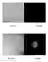 Fig. 09 - Stable ill-defined cubic nanosized particles in a ternary aqueous phase