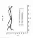 Fig. 06 - Organic light emitting display including transparent cathode