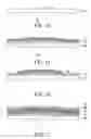 Fig. 08 - Organic light-emitting device with integrated color filter and method for manufacturing the same