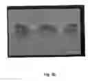 Fig. 13 - Sensor elements with cantilevered bar structures made of semiconductors based on group III-nitride