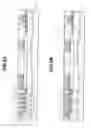 Fig. 06 - Highly integrated and reliable DRAM and its manufacture