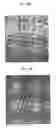 Fig. 09 - Semiconductor device and method of manufacturing the same
