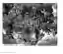 Fig. 01 - Aerogel/PTFE composite insulating material