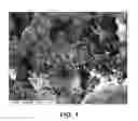 Fig. 02 - Aerogel/PTFE composite insulating material