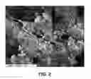 Fig. 03 - Aerogel/PTFE composite insulating material
