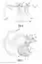 Fig. 04 - Passenger airbag module