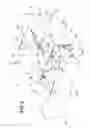 Fig. 03 - Automobile front body structure