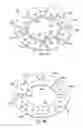 Fig. 04 - Replacement wheel and contact ring therefor