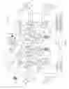 Fig. 02 - Horizontally opposed hydraulic piston pumps