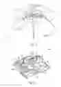 Fig. 02 - Fuel level sensor using rotating angel sensor attached to float on totating arm