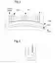 Fig. 04 - Particle beam accelerator
