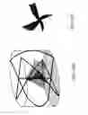 Fig. 11 - Display apparatus for a 3D solid image