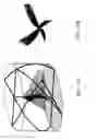 Fig. 12 - Display apparatus for a 3D solid image