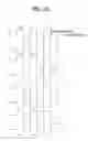 Fig. 11 - Liquid crystal display device