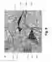 Fig. 10 - Design of arbitrary linear and non-linear maps