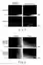 Fig. 11 - Dithering system