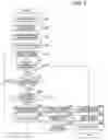 Fig. 07 - Liquid ejection apparatus