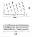 Fig. 05 - Inkjet actuator substrate having at least one non-uniform ink via