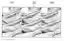 Fig. 01 - Adaptive sampling along edges for surface rendering