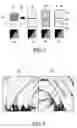 Fig. 04 - Adaptive sampling along edges for surface rendering