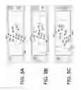 Fig. 09 - Multiview display device