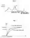 Fig. 05 - Image correction apparatus and method