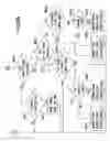 Fig. 46 - Optical apparatus and image-taking apparatus