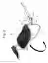 Fig. 03 - Pivotally openable type spectacles and sunshade-clip assembly