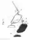 Fig. 12 - Pivotally openable type spectacles and sunshade-clip assembly