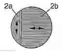 Fig. 01 - Transparent and polarizing vision element having areas which are associated with polarization filters that are respectively vertically and horizontally oriented