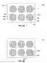 Fig. 08 - Nanowire heterostructures and methods of forming the same