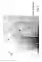 Fig. 03 - Image processing apparatus, an imaging system, a computer program and a method for scaling an object in an image